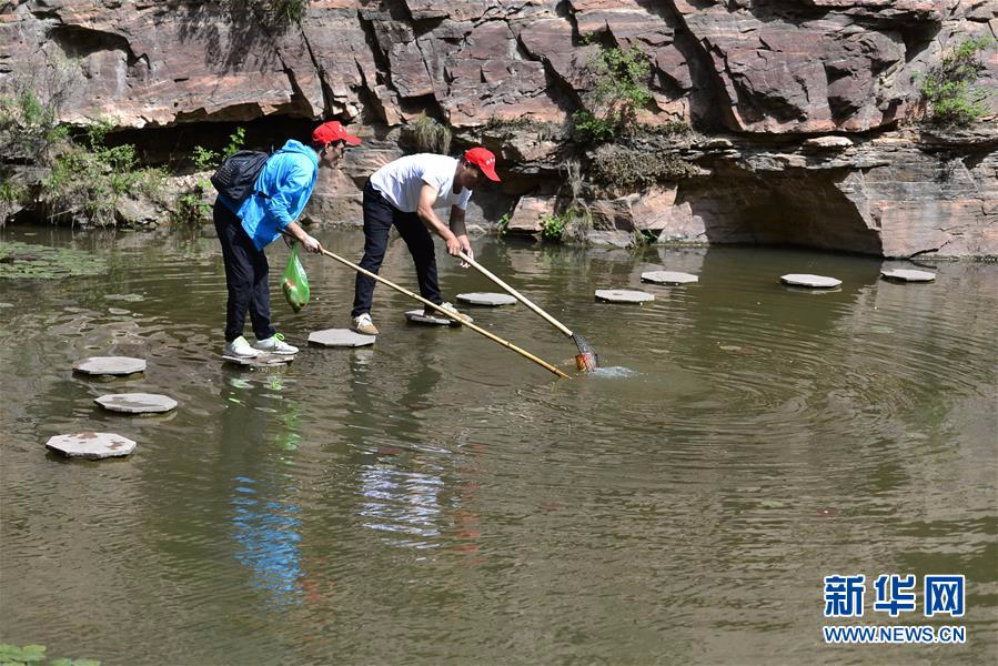#（环境）（1）河北邢台：志愿者捡垃圾 守护绿水青山
