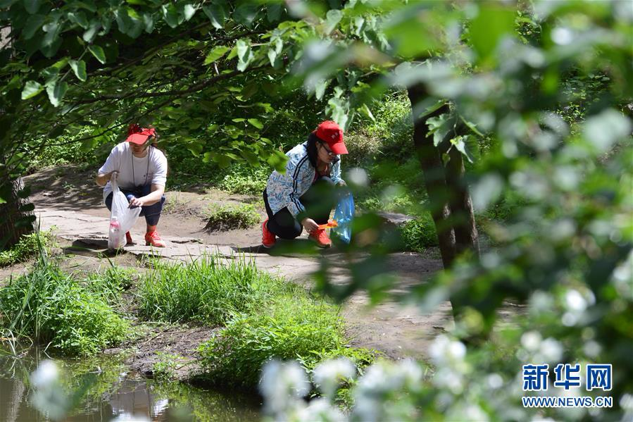 #（环境）（2）河北邢台：志愿者捡垃圾 守护绿水青山