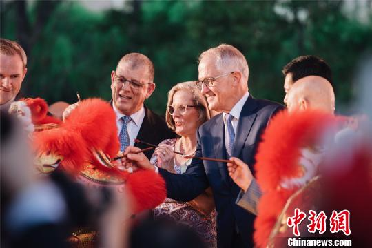 澳洲总理马尔科姆_特恩布尔参与2017年悉尼中国新年灯会“舞狮点睛”开幕仪式。　田逸 摄