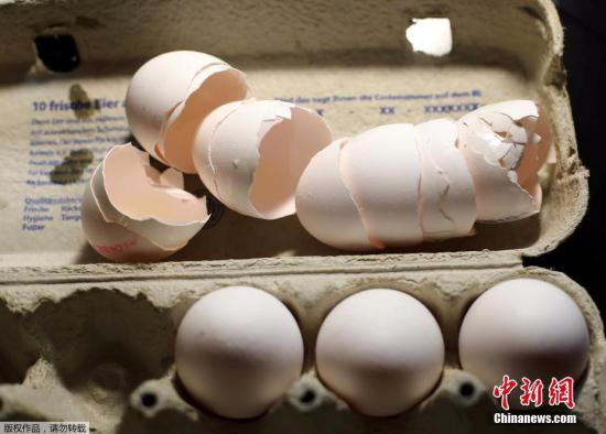 荷兰媒体报道，荷兰部分农场已使用混合的有害杀虫药长达超过1年，其中一家生产商的客户遍及英国、法国和波兰，但无证据显示在这三个国家出售的鸡蛋受到污染。NVWA表示正评估受影响农场数目，目前尚有600个样本正在检测，建议儿童不要进食最少27个农场出产的鸡蛋。(资料图)