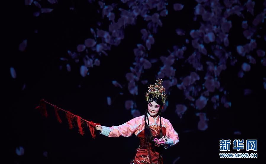 （图文互动）（4）台湾“豫剧皇后”王海玲退休之作即将登台