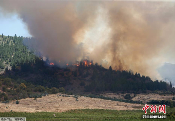 智利山火持续肆虐 20余万公顷土地过火
