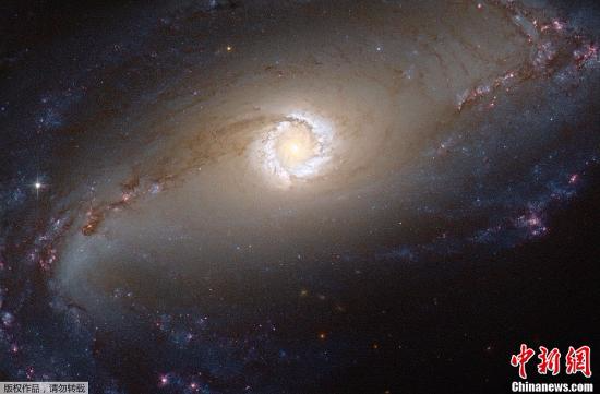 美国宇航局公布的哈勃望远镜捕捉到的距离地球4500万光年的NGC1097星系壮丽恒星环照图。