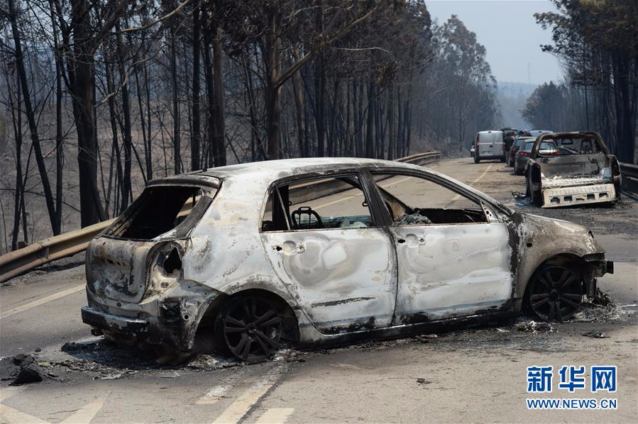 （国际）（2）葡森林火灾造成至少61人死亡 政府宣布进入紧急状态