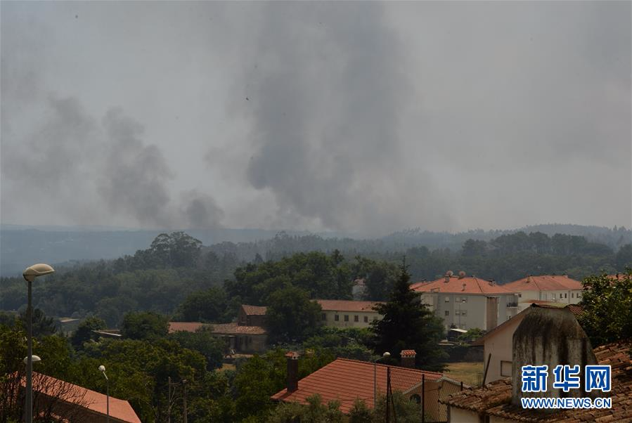 （国际）（4）葡森林火灾造成至少61人死亡 政府宣布进入紧急状态