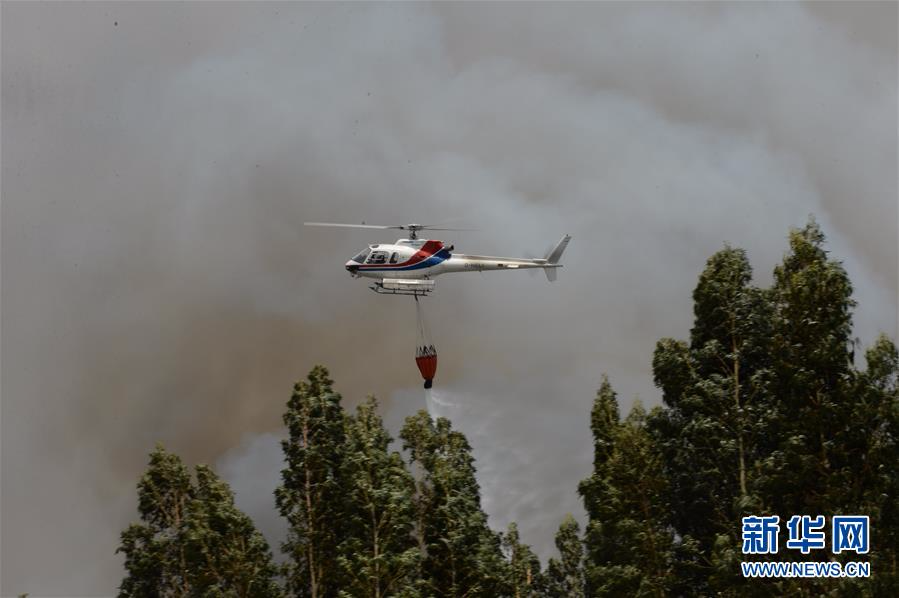 （国际）（3）葡森林火灾造成至少61人死亡 政府宣布进入紧急状态