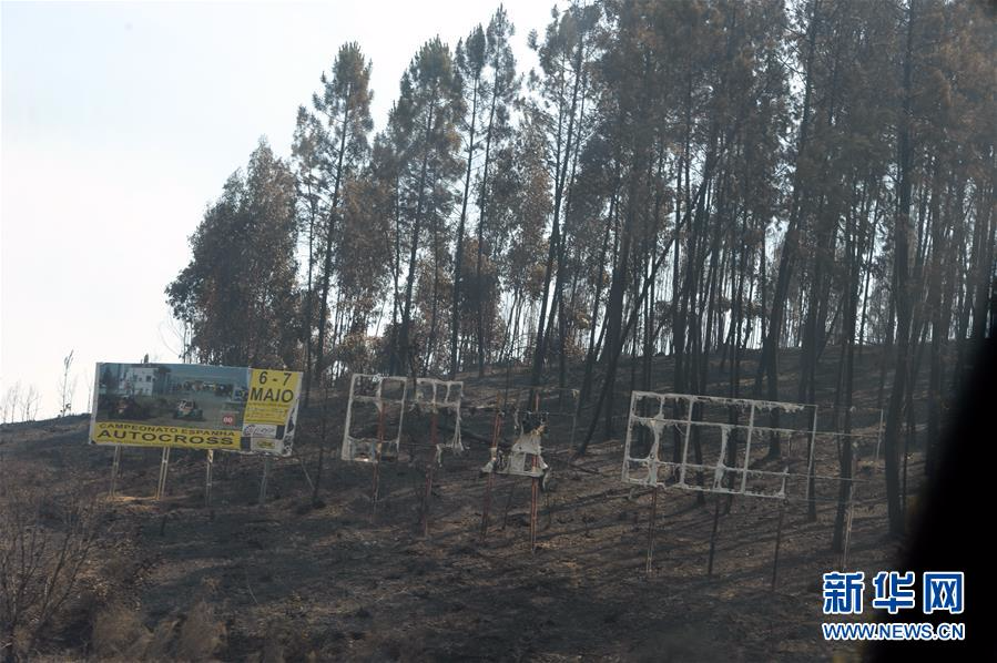 （国际）（6）葡森林火灾造成至少61人死亡 政府宣布进入紧急状态