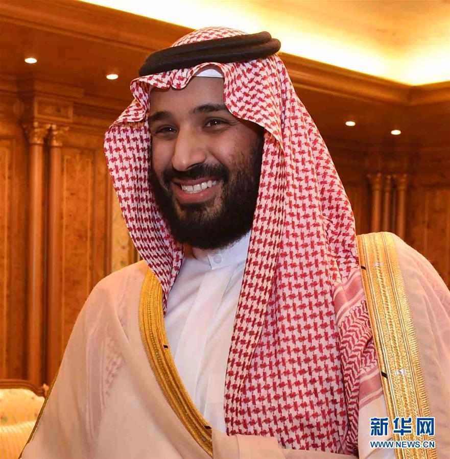 （国际）（2）沙特国王萨勒曼废除王储任命自己儿子接替
