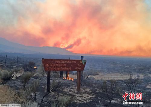 大火过后,留下被烧焦的草原。