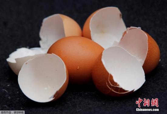 比利时检察部门指，当地弗兰德斯两家专门生产杀虱剂的厂商怀疑与事件有关，可能有不法商人将原本合法用于饲养鸡只的杀虫药，混合非法有害物质，以加强药力。（资料图）