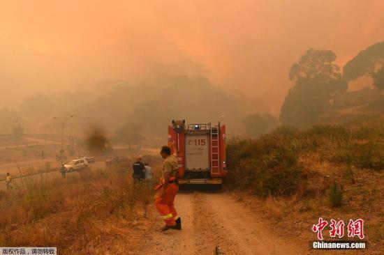 当地时间7月10日，意大利多地现丛林火灾，消防员上千次投入灭火。图为意大利消防人员正在墨西拿地区灭火。
