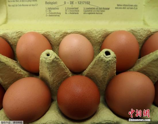 荷兰当局早前在鸡只的粪便、血液及蛋中，验出高浓度的杀虫药芬普尼(fipronil)。