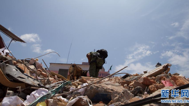 墨西哥地震搜救工作继续 死亡人数上升至90人（图）
