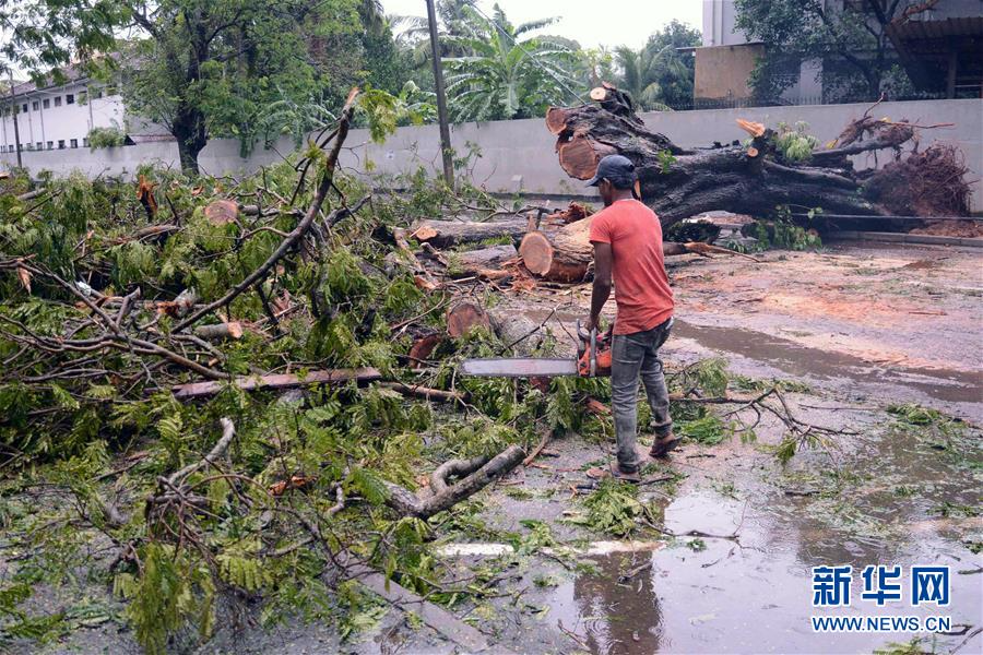 （国际）（1）斯里兰卡暴雨造成7人死亡