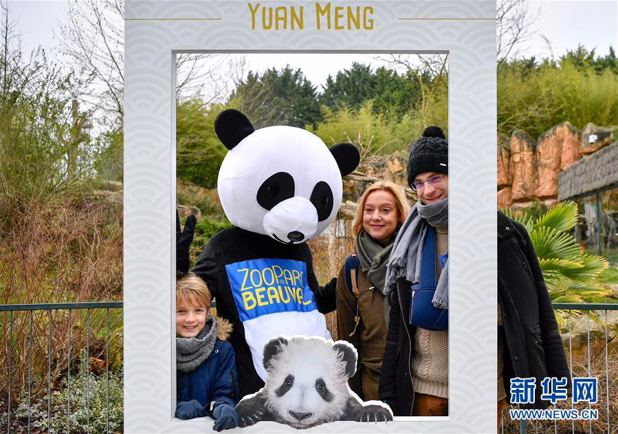 （国际）（2）大熊猫宝宝“圆梦”正式与法国公众见面