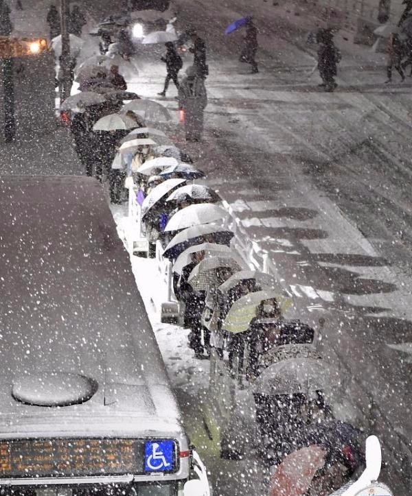 日本东京现罕见大雪:致2死719伤 死者中1人为