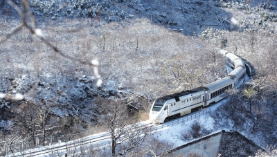 冬日版“开往春天的列车”：美景依旧