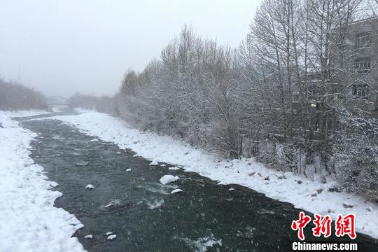 图为阿勒泰市区大雪降落在河流中。　黄荣 摄