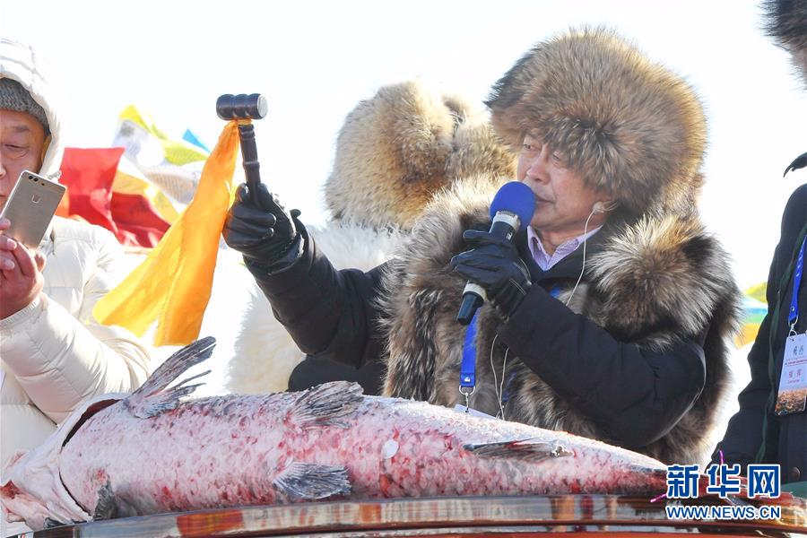 （社会）（4）吉林：查干湖冬捕头鱼拍出85万高价