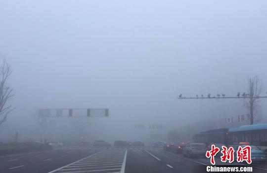 图为1日，扬州遭强浓雾，红绿灯“隐身”大雾中。　崔佳明 摄