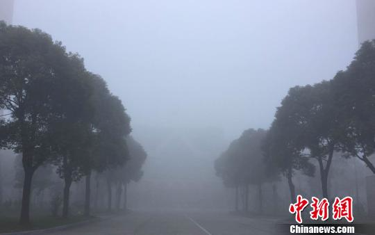 图为1日，扬州遭强浓雾，几十米外的建筑被隐身。　崔佳明 摄