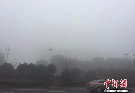 图为1日，扬州遭强浓雾，马路对面的建筑被隐身。　崔佳明 摄