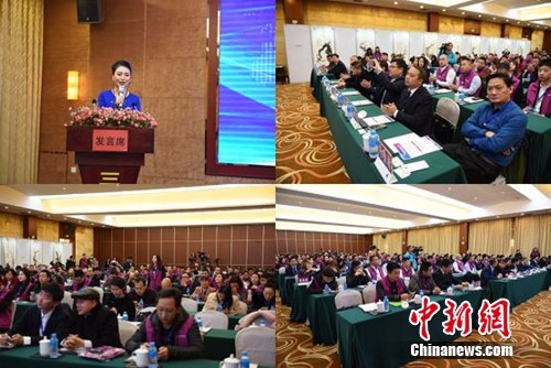 中国全域旅游发展（荔波）高峰论坛召开