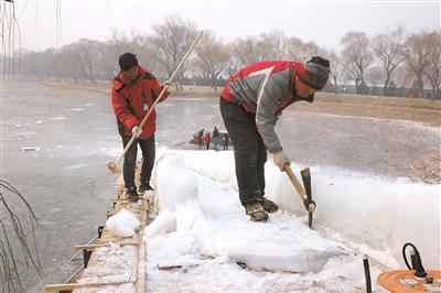 今冬前期气温高致冰场开放仅14天五大冰场谢幕