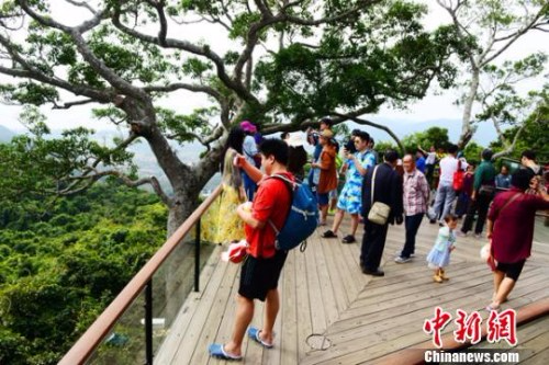 春节长假过后，三亚亚龙湾热带天堂森林旅游区依旧游人如织。　黄庆优 摄