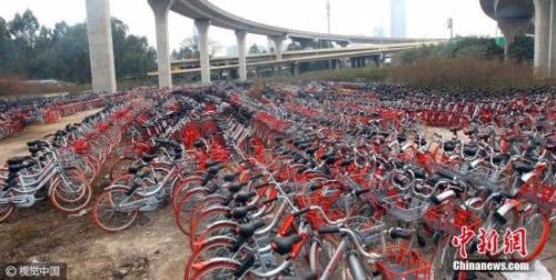 资料图。1月18日下午，广州海珠区新洲立交桥下摆满了共享单车。 马强 摄 图片来源：视觉中国