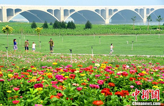 7月6日，河北石家庄滹沱河畔，碧绿的河水与鲜花相互映衬，市民们正在“绿色长廊”中游玩。据了解，当地政府实施增绿治霾，利用滹沱河两岸进行生态修复和开发，打造生态绿色长廊。图为部分已成形的“生态绿廊”。<a target='_blank' href='http://www.chinanews.com/'></table>中新社</a>记者 翟羽佳 摄
