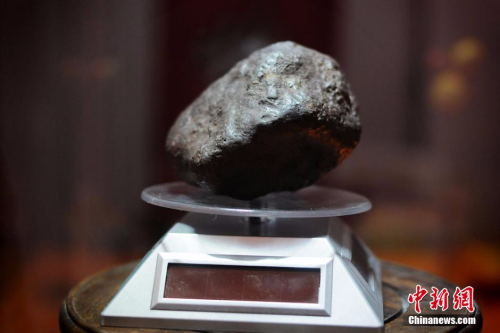 2013年12月25日，一块约“拳头大”标价8千万的陨石，摆在乌鲁木齐一陨石店中央。马新龙 摄