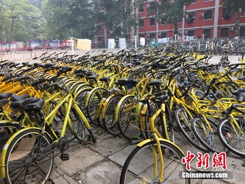 资料图。北京某所高校内的共享单车数量惊人。<span target='_blank' href='http://www.chinanews.com/' ></div>中新网</span> 吴涛 摄