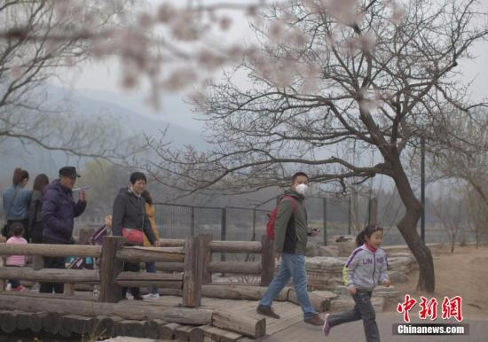 资料图：2017年3月22日，北京遭遇雾霾天，空气质量达中度污染。图为市民在北京植物园赏春花。 <span target='_blank' href='http://www.chinanews.com/'></div>中新社</span>记者 刘关关 摄
