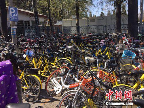 资料图：北京颐和园附近的一处停车点堆满共享单车。中新网 吴涛 摄