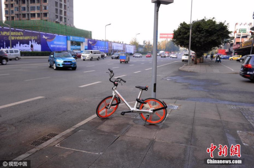 资料图：共享单车在街头随处可见。图片来源：视觉中国