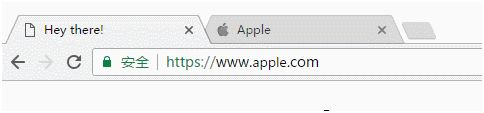 地址栏的显示是apple.com，肉眼根本无法识别出这是假冒产品。只有将真假网址对比来看，才能发现假网址的字母(使用西里尔语里的a，比英文的a看起来略小)