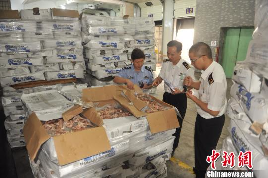 237吨走私冻肉在广东被集中无害化销毁（图）