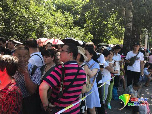 等待三小时后进入清华的游客队伍。中国青年网记者张瑞宇摄。