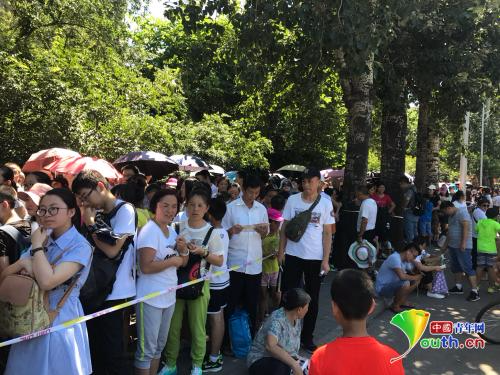 排队等待下午参观清华的人群。中国青年网记者张瑞宇摄。