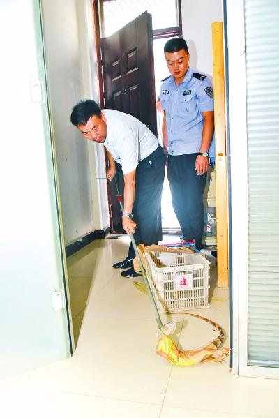 郑州一居民家“闯入”红鬃蜥蜴 民警求助野生动物救护站