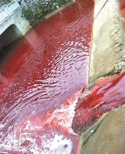 九江学院门口的濂溪河河水变成“血红色”。图片来源：北京青年报