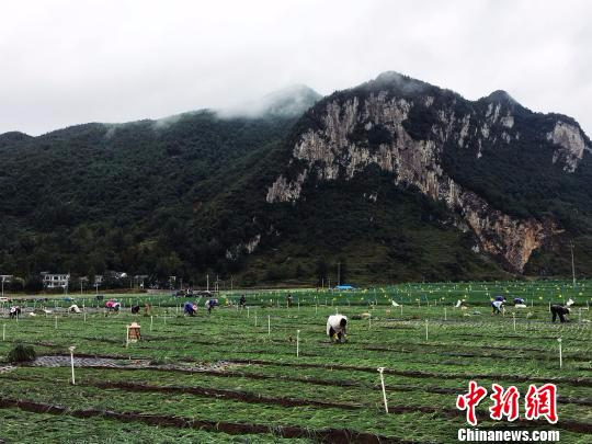 让青山绿水释放“红利”已经成为贵州城乡发展理念。　杨云 摄