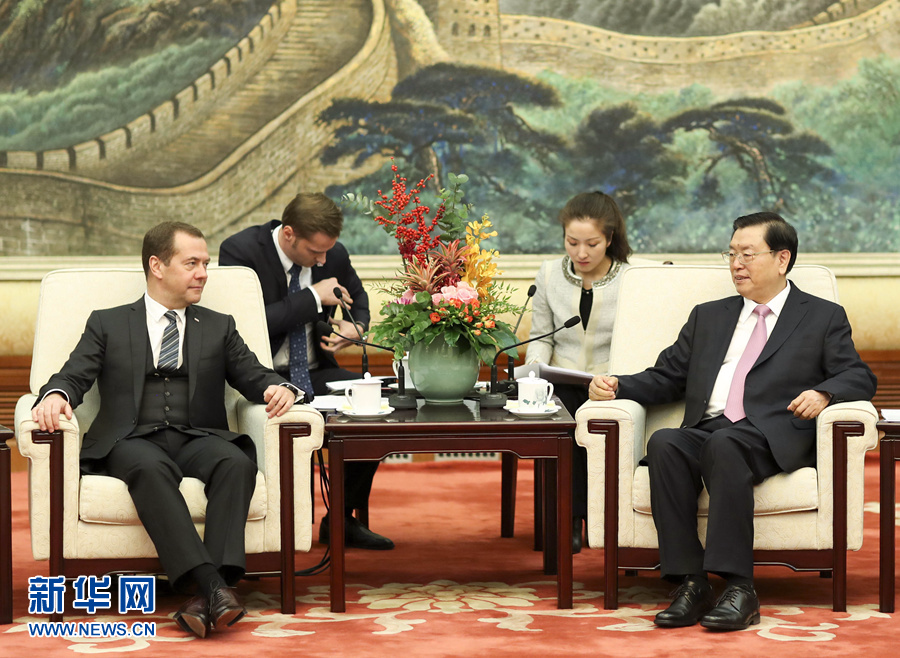11月1日，全国人大常委会委员长张德江在北京人民大会堂会见俄罗斯总理梅德韦杰夫。 新华社记者 丁林 摄