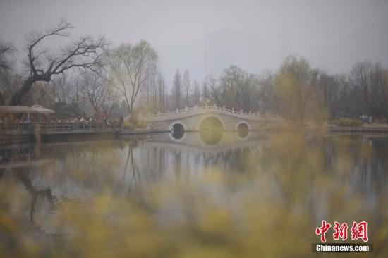 3月22日，北京遭遇雾霾天，空气质量达中度污染。图为市民在北京植物园赏春花。 <span target='_blank' href='http://www.chinanews.com/'></div>中新社</span>记者 刘关关 摄