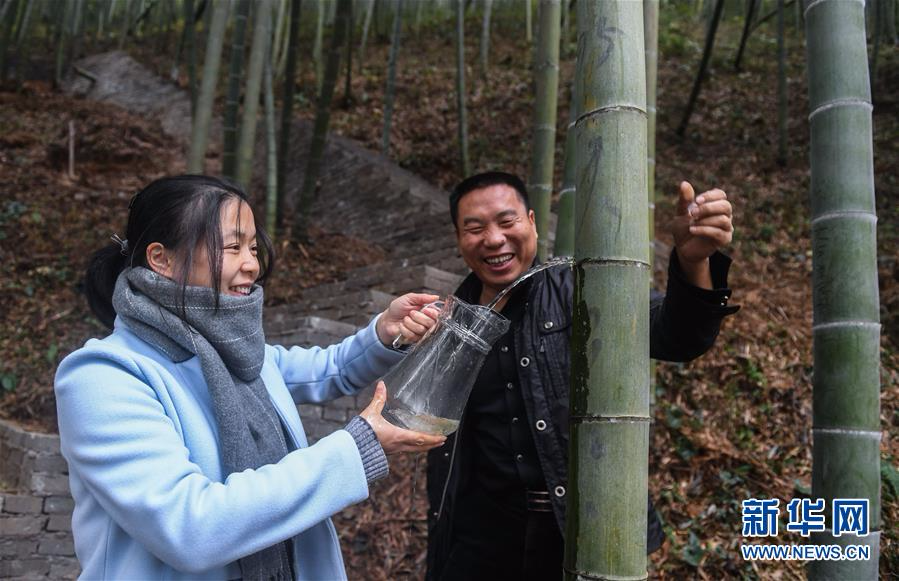 （社会）（6）浙江安吉：特色竹产业点亮山乡“绿色经济”