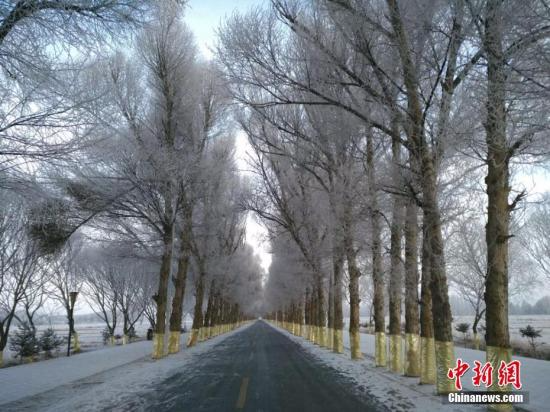 12月21日，受冷空气影响，地处甘肃河西走廊西端的肃北蒙古族自治县迎来了今年入冬后第一场雪，出现唯美景观。 乌仁花 摄