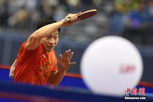资料图：中国乒乓球运动员马龙。<a target='_blank' href='http://www.chinanews.com/'></table>中新社</a>记者 武俊杰 摄