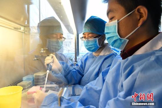 1月11日，山西省太原市疾控中心，微生物检验人员检测医院送来的样本。韦亮 摄