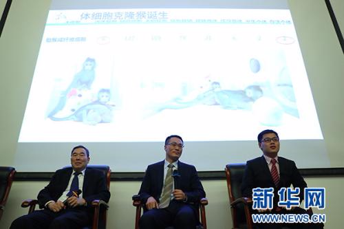 1月24日，中科院神经科学研究所所长蒲慕明院士、孙强研究员和刘真博士(从左到右)在北京举行的发布会上。新华社记者 张玉薇 摄